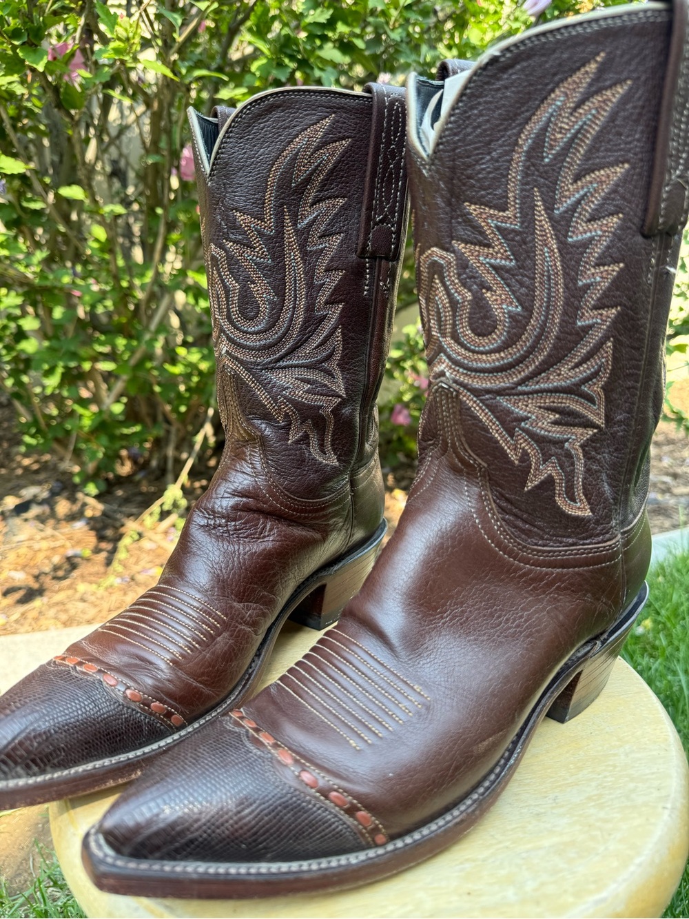Lucchese 1883 Women's Exotic Western Boots Size 9 B Brown
With Lizard Tips USA - Picture 5 of 15